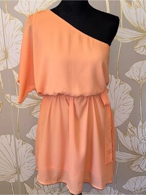 Pink Lily One-Shoulder Dress